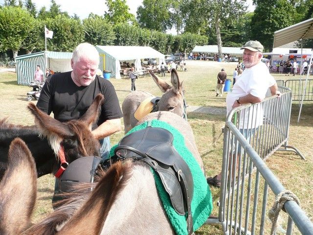 vide grenier 2012 (34).jpg